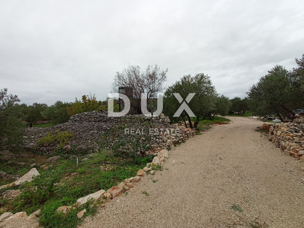 Image 21