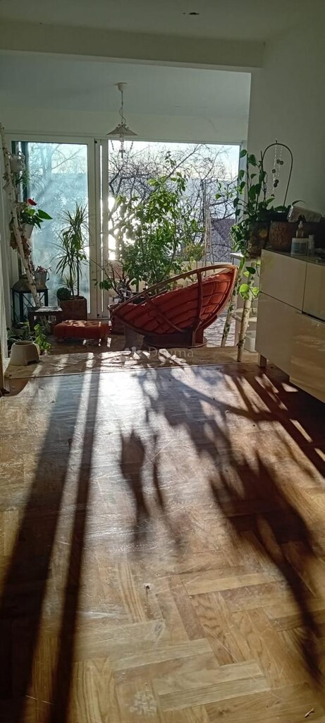 Image 13
