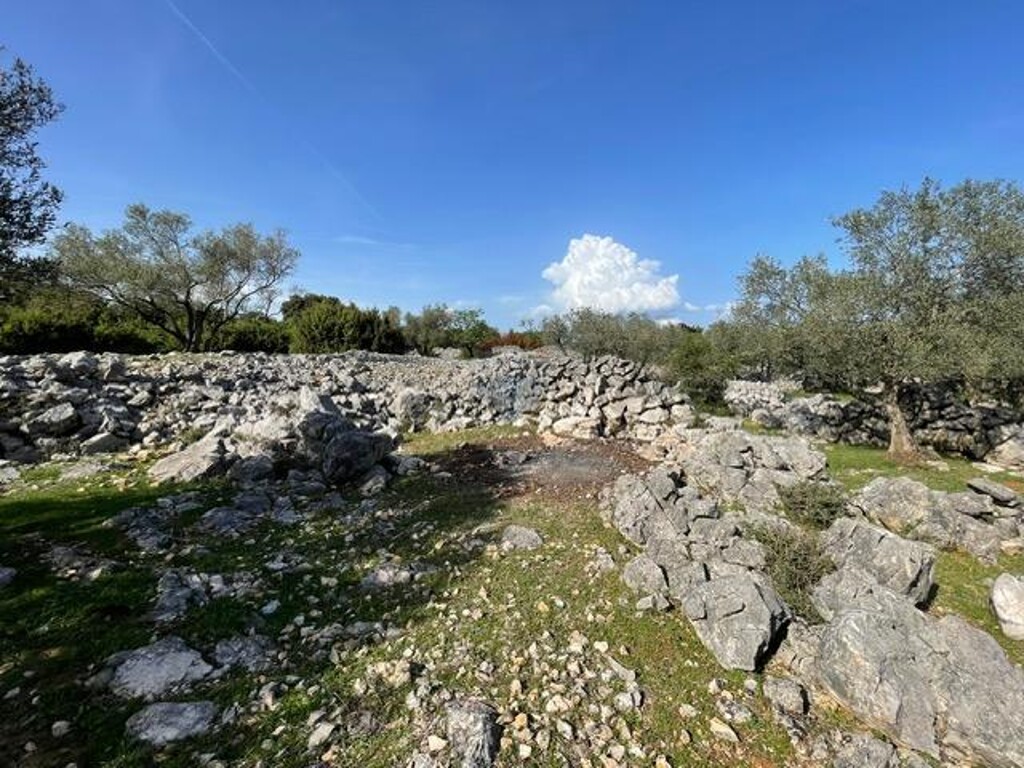 Image 17