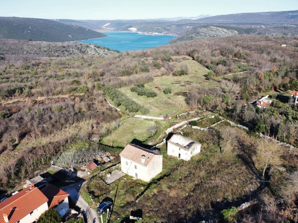 Image 13