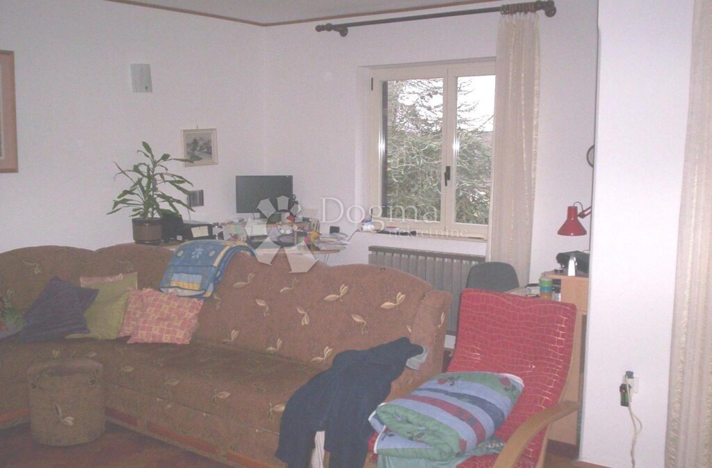 Image 15