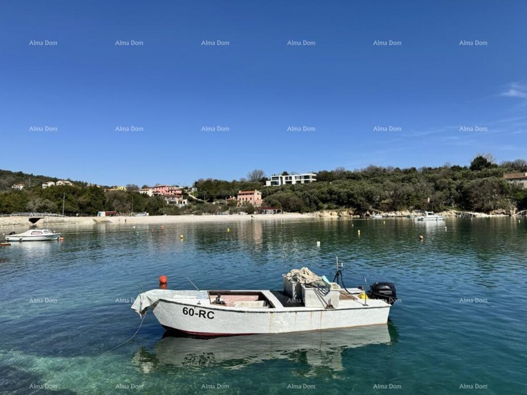 Image 12