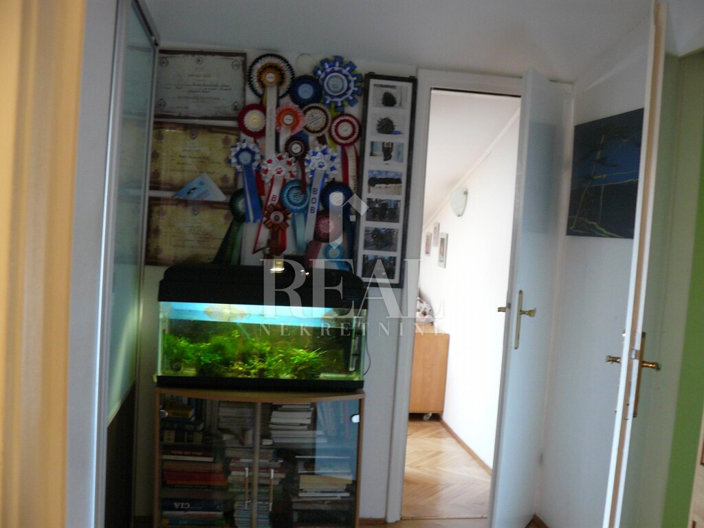 Image 12