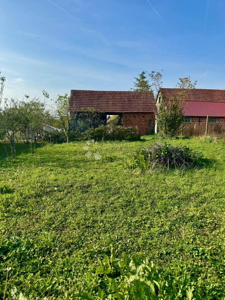 Image 15