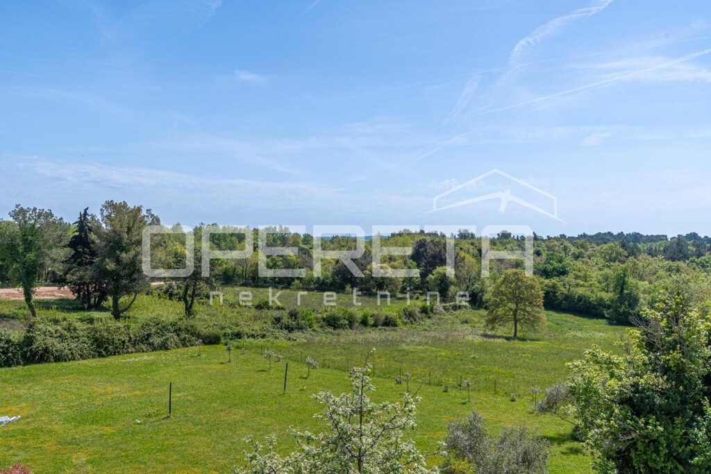 Image 15
