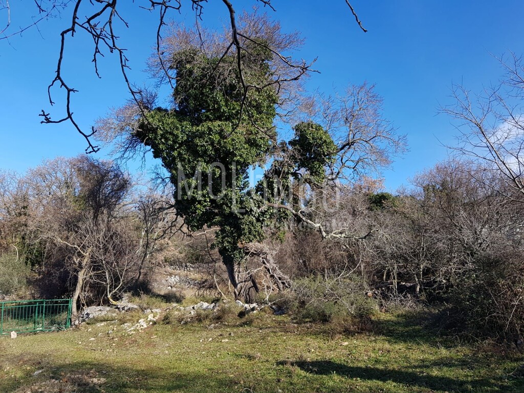 Image 14