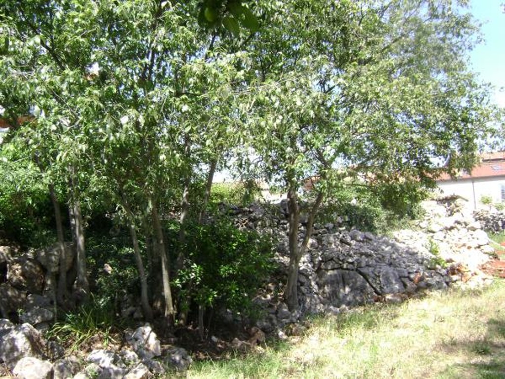 Image 3812949 - 23