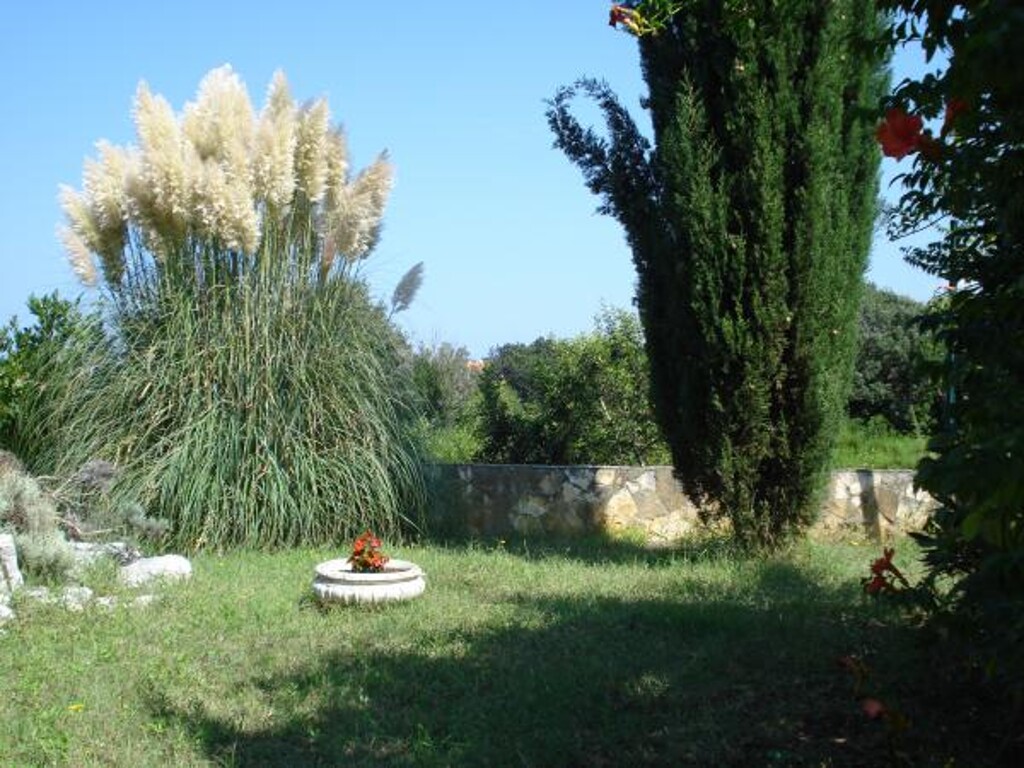 Image 3813644 - 4