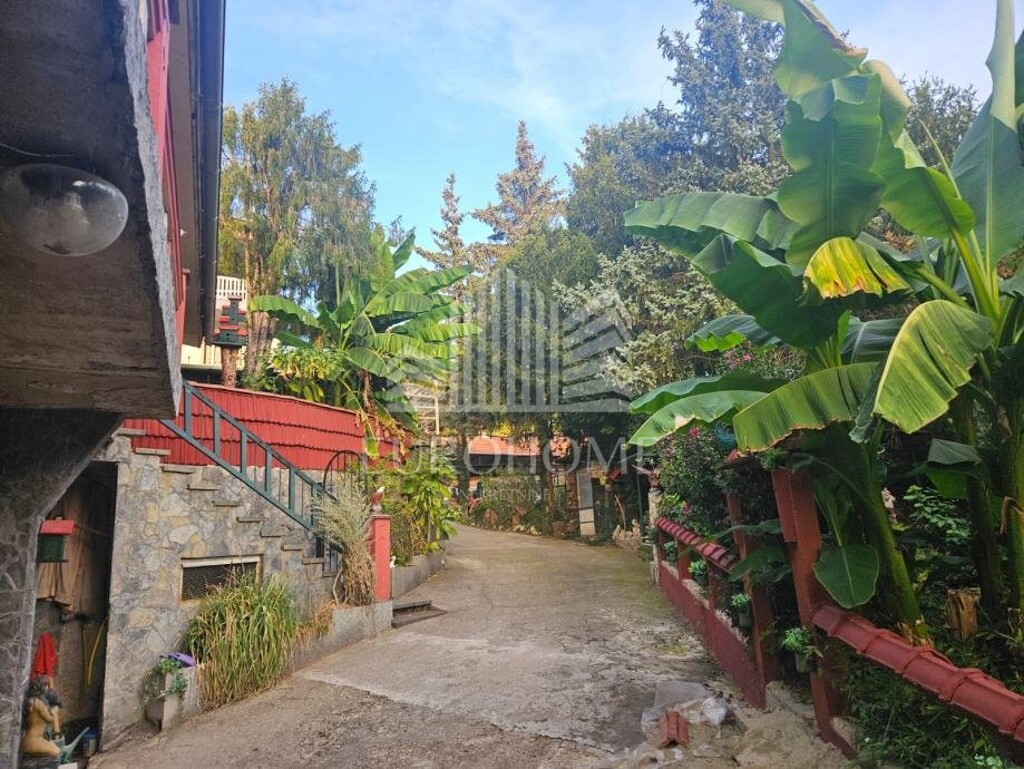 Image 13