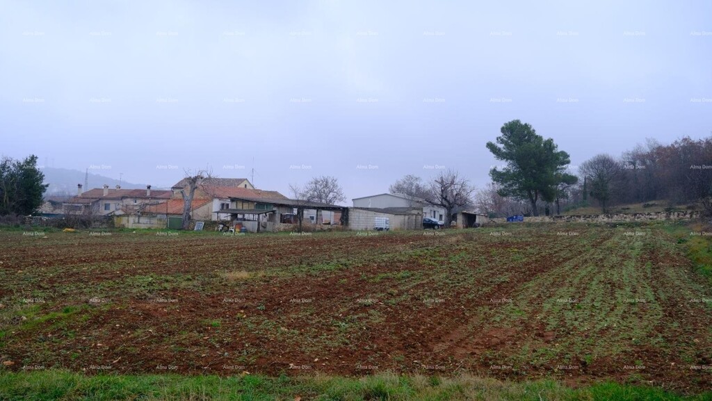 Image 14