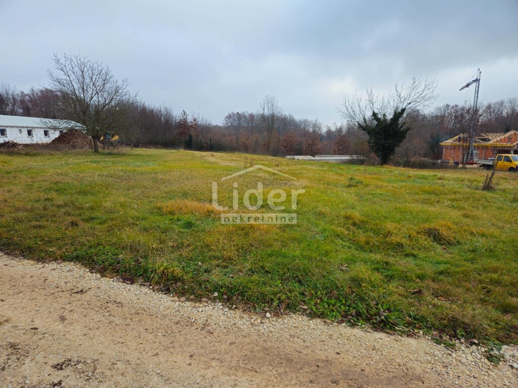 Image 13