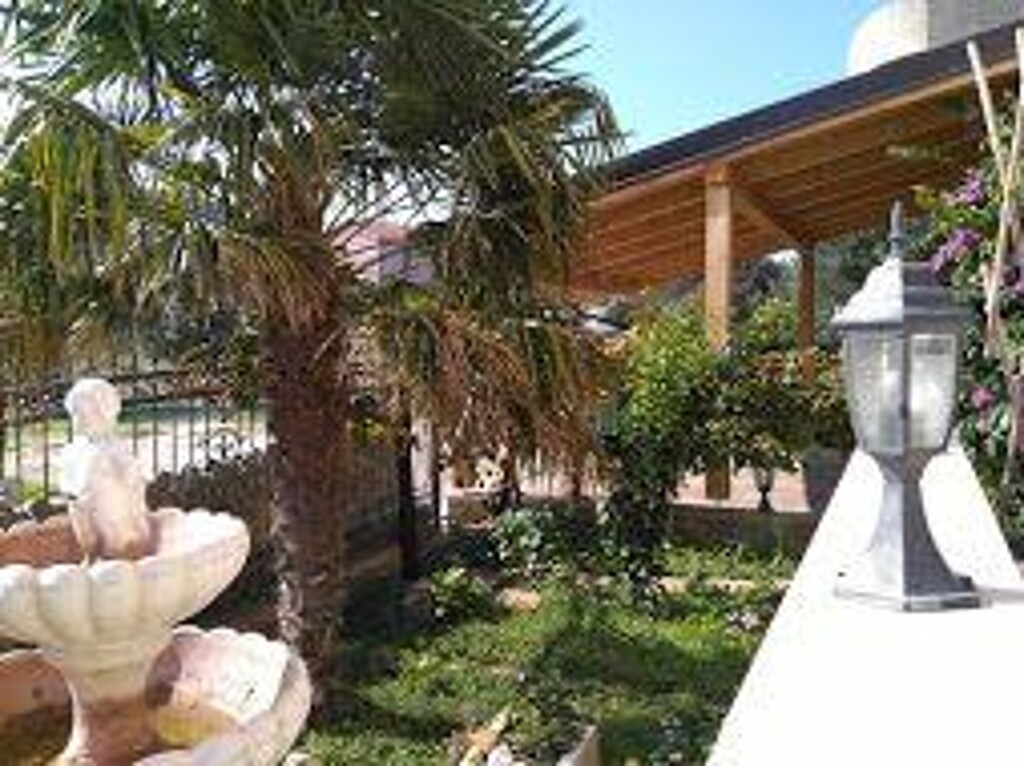Image 3814439 - 5