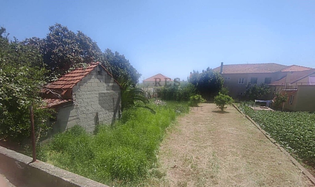 Image 15