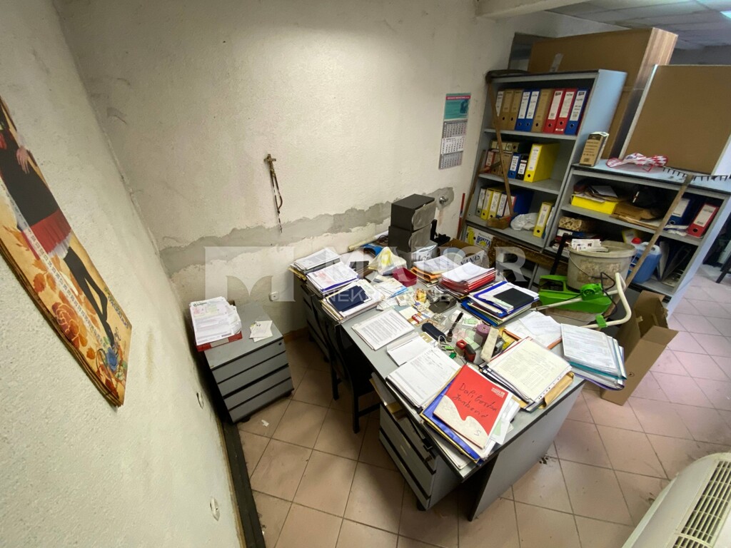 Image 7