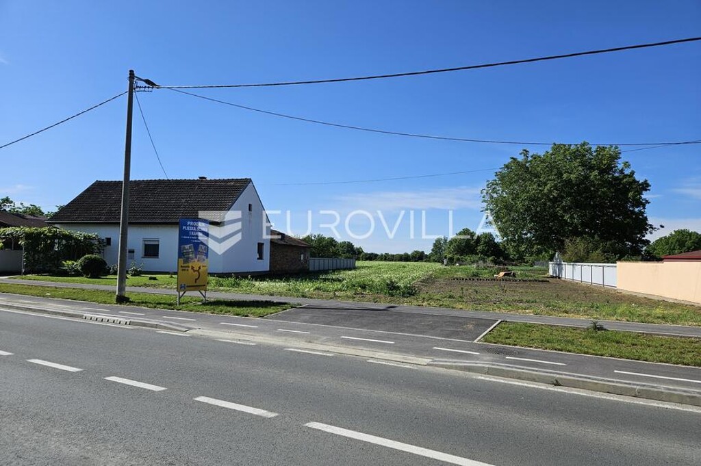 Image 5887527 - 1