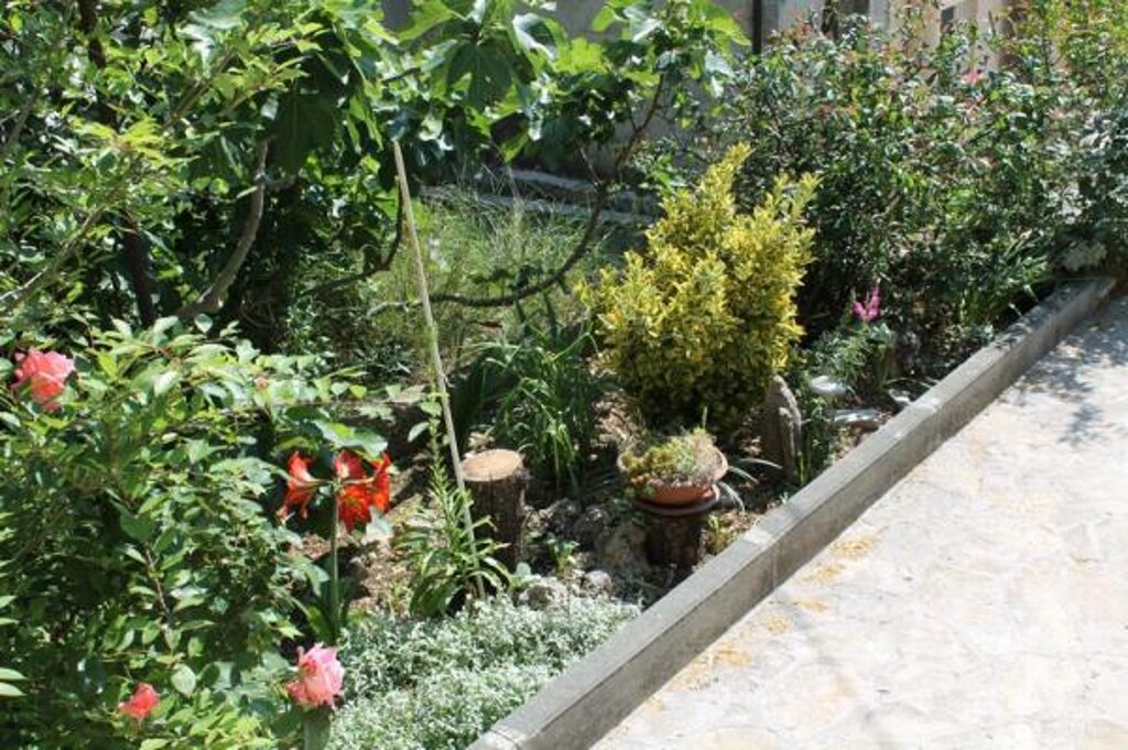 Image 3838903 - 7