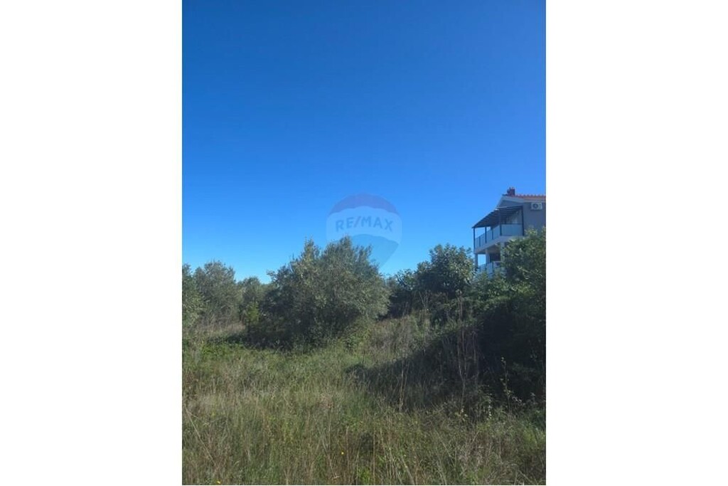 Image 14
