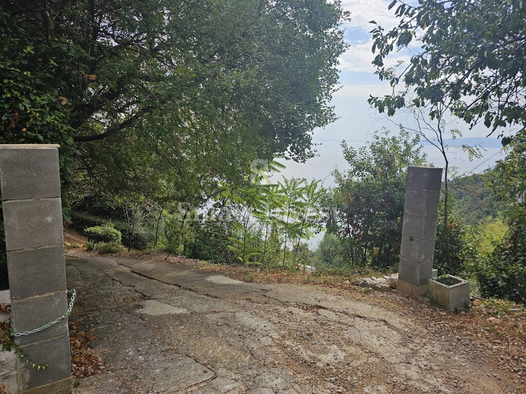 Image 24