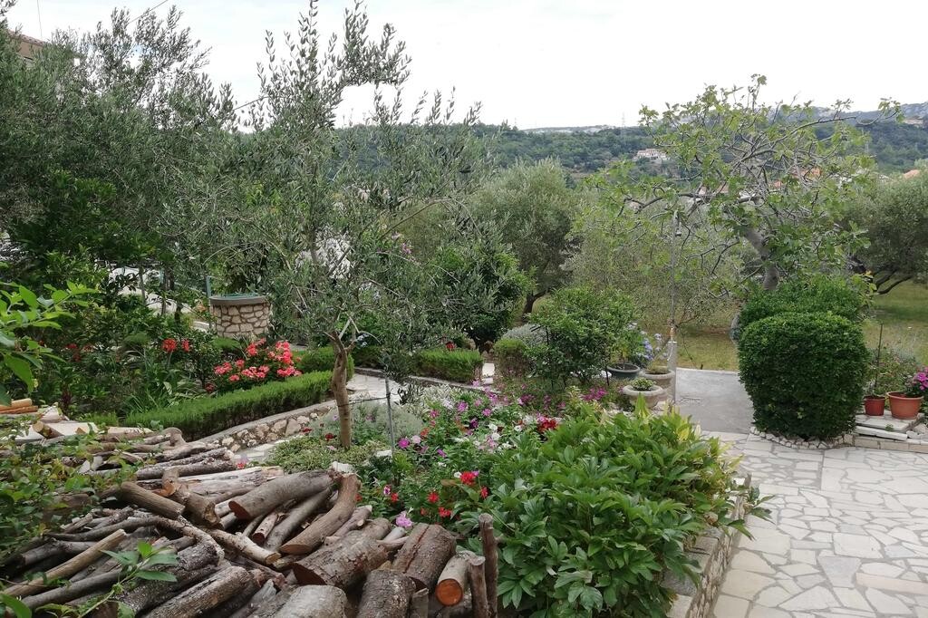 Image 3811649 - 9