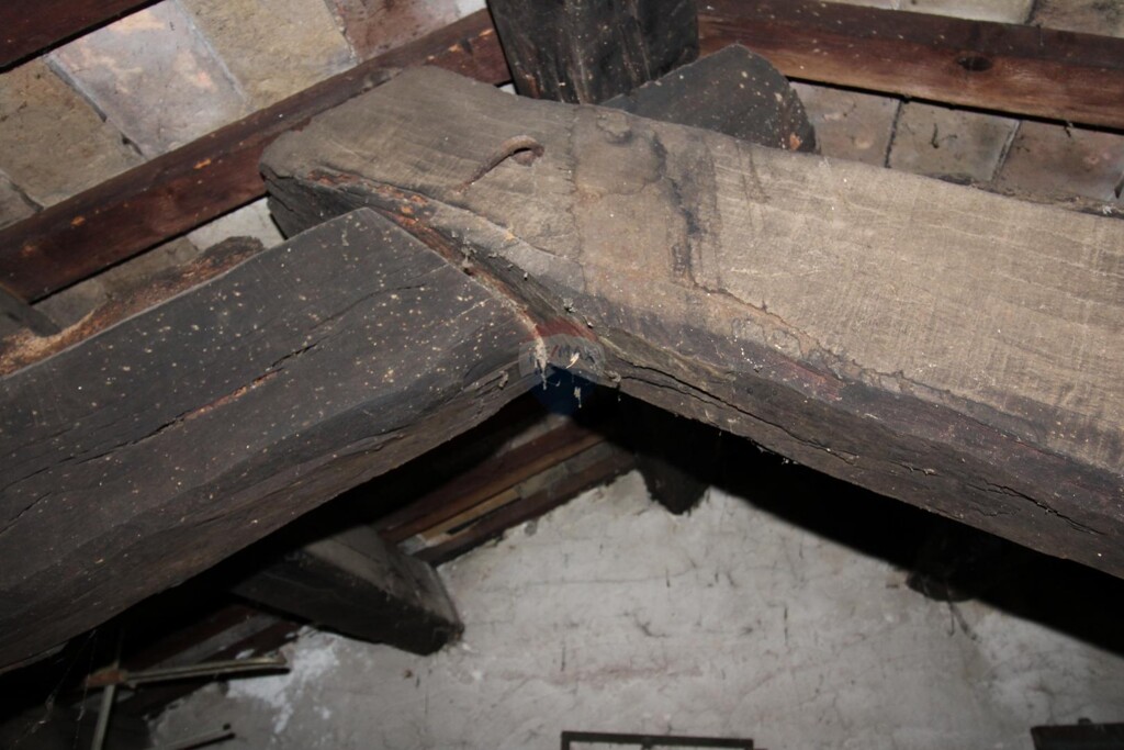 Image 14
