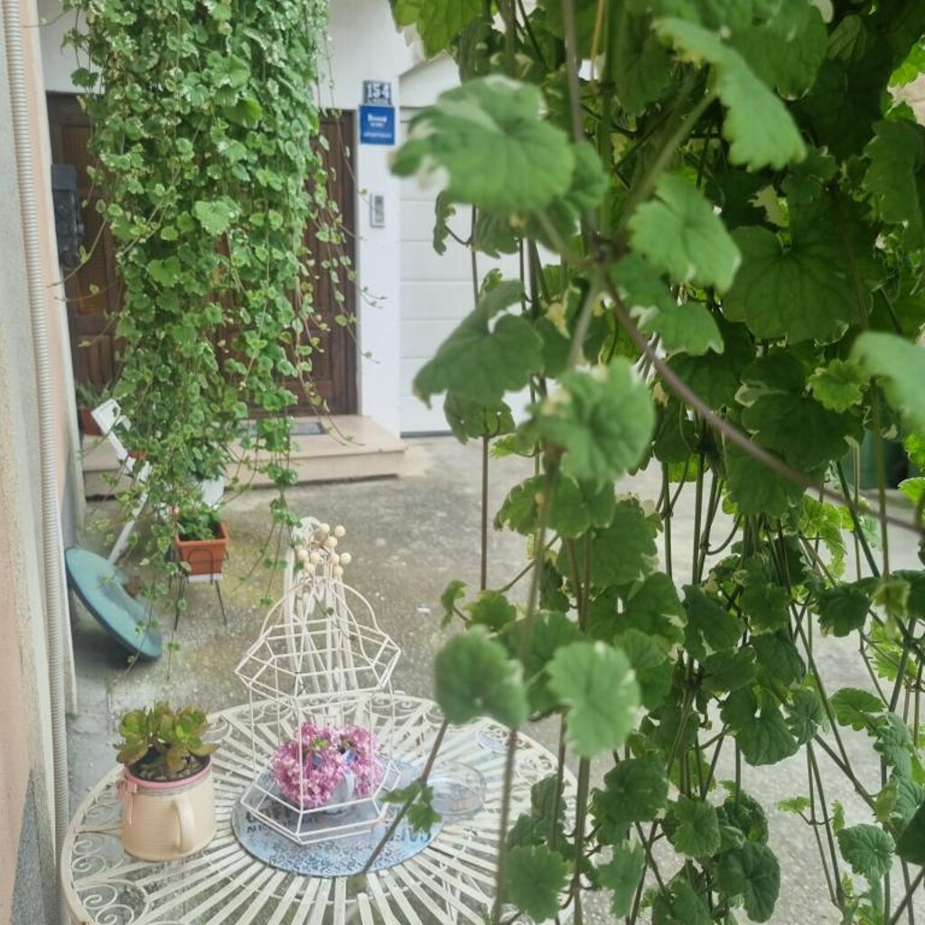 Image 3812474 - 20