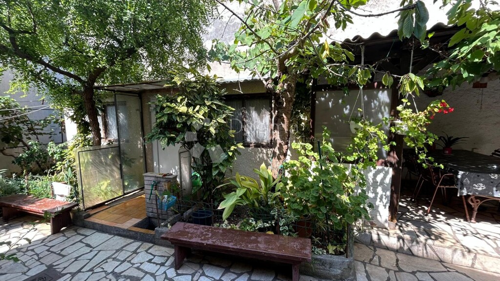 Image 21