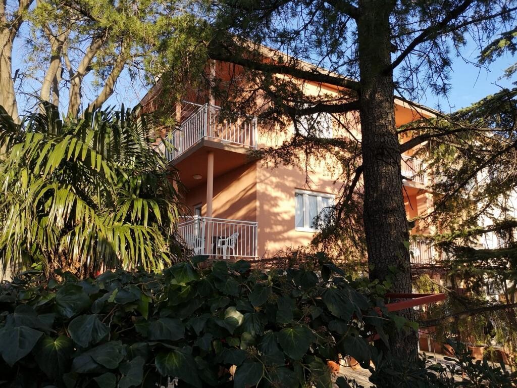 Image 6