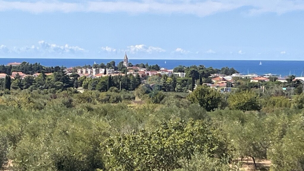 Image 23