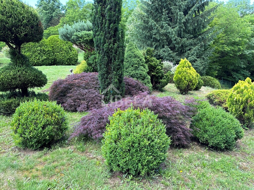 Image 32