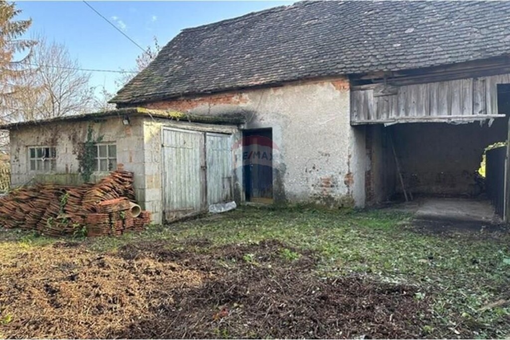 Image 14