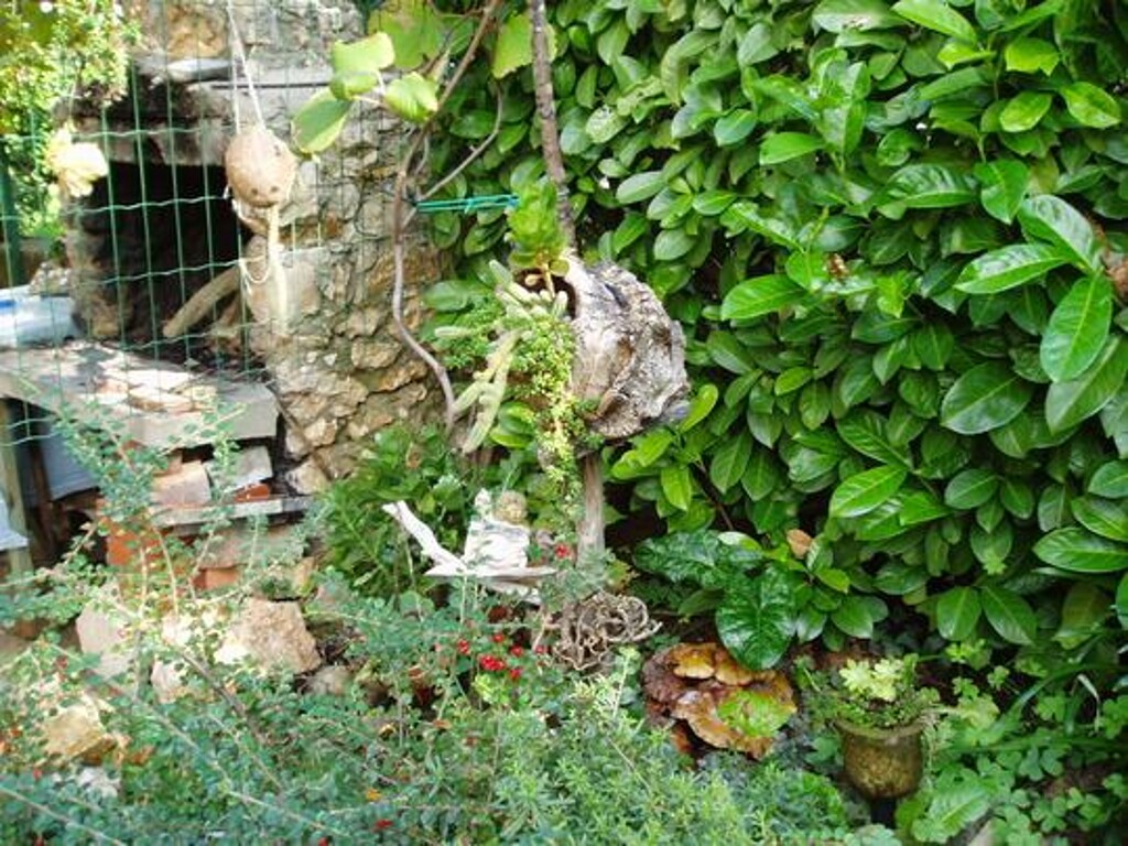 Image 3811886 - 10
