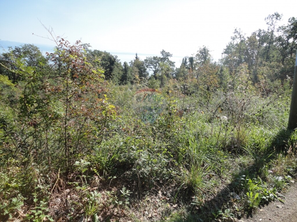 Image 5411134 - 1