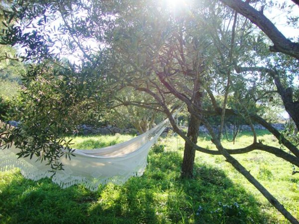 Image 3823617 - 13