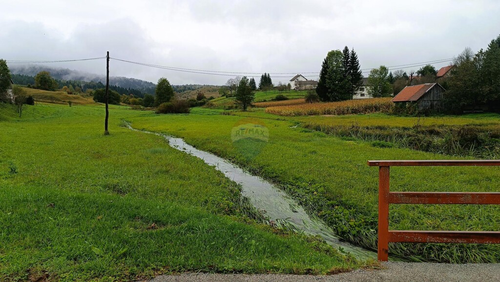 Image 6135858 - 4