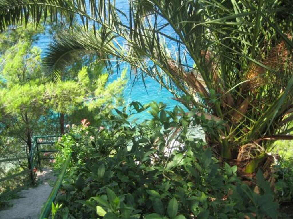 Image 3838512 - 12