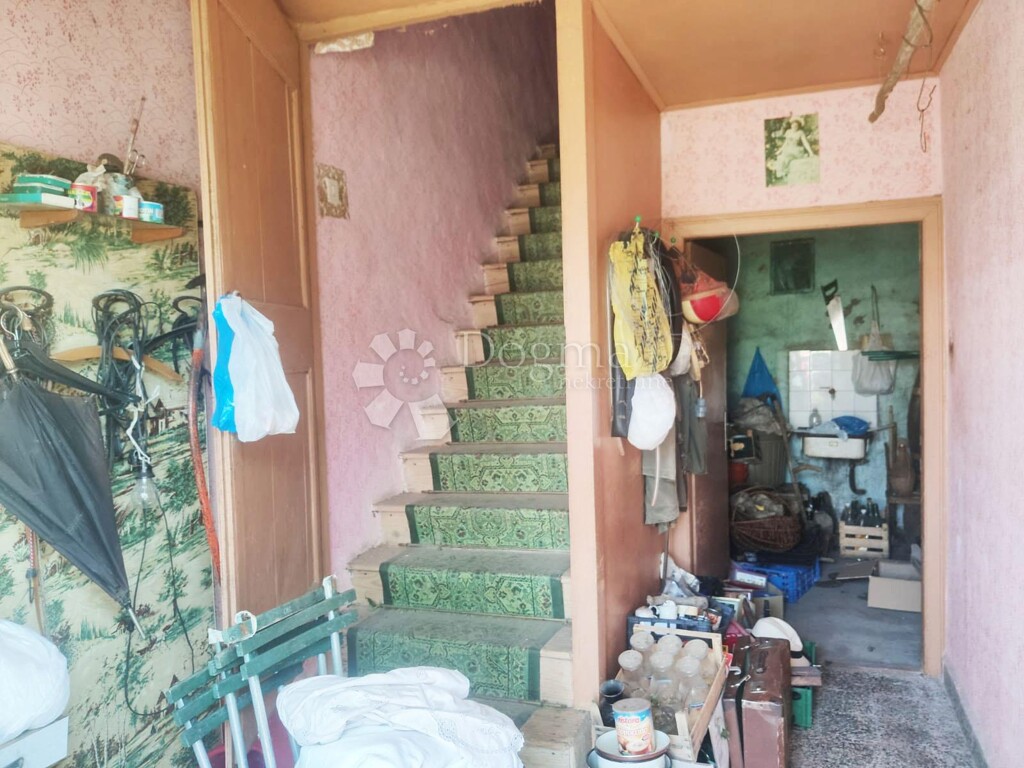 Image 13