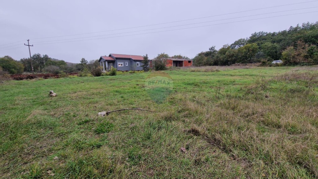 Image 5429067 - 1