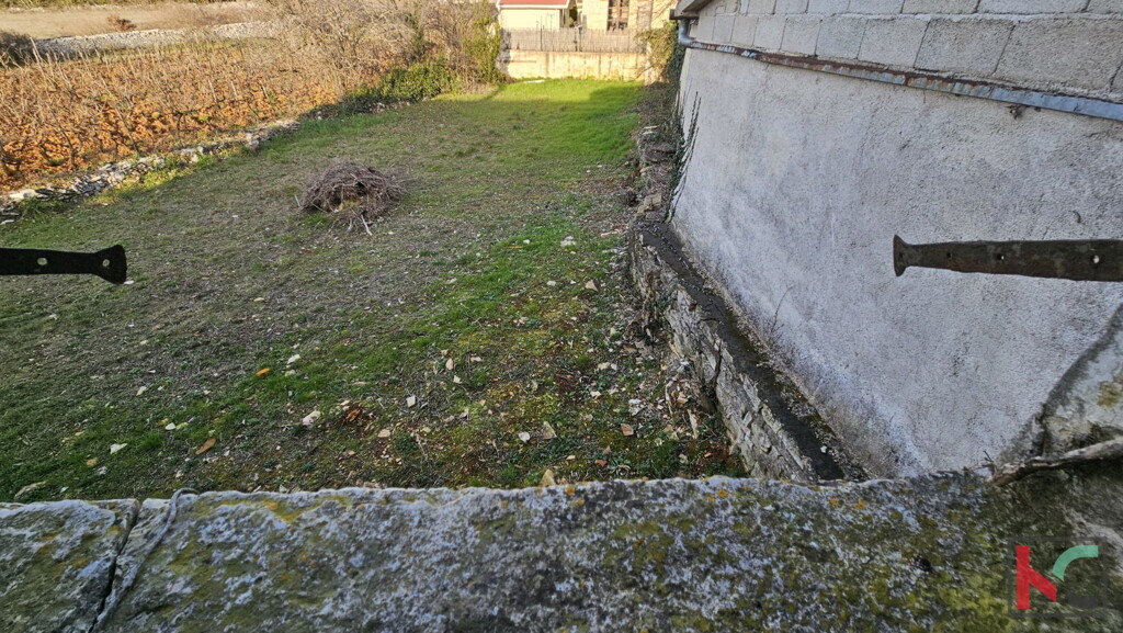 Image 15