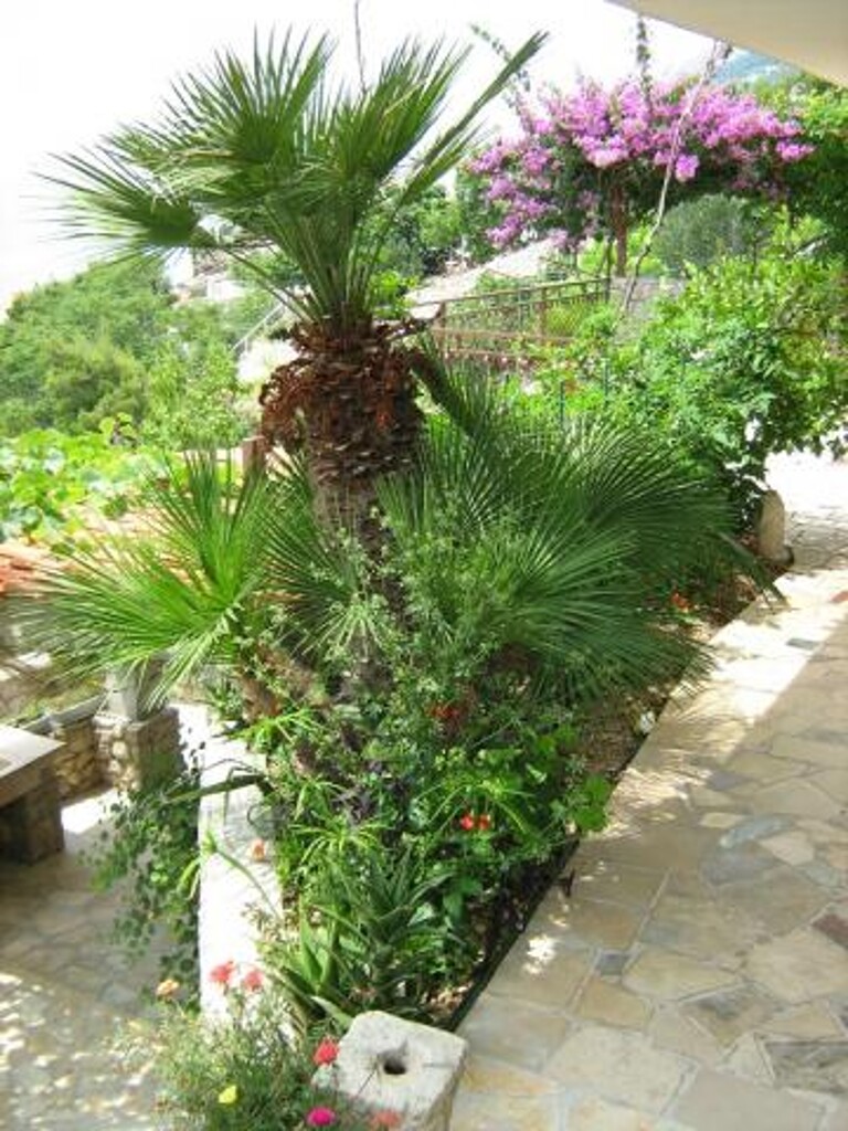 Image 3838750 - 11