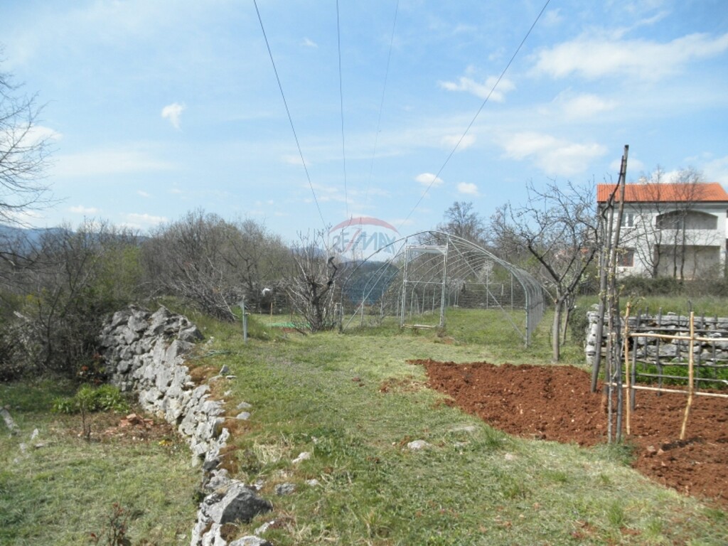 Image 5411058 - 3