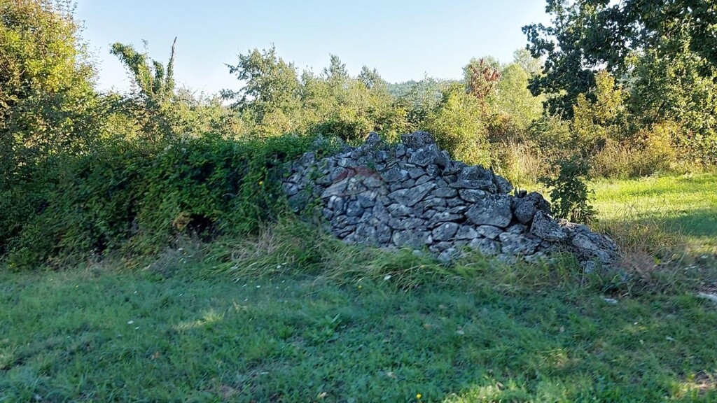 Image 14