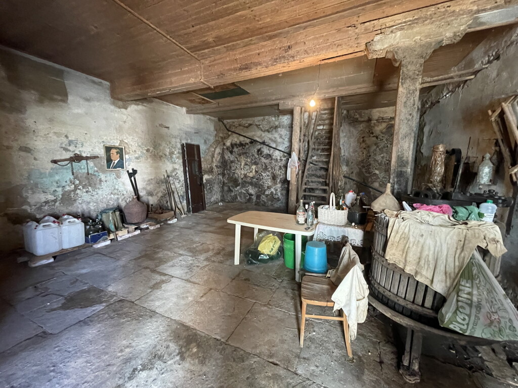 Image 15