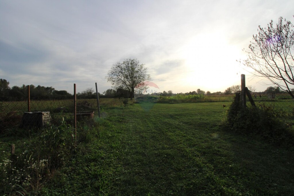 Image 5429827 - 4