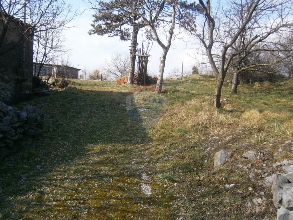 Image 5410913 - 3