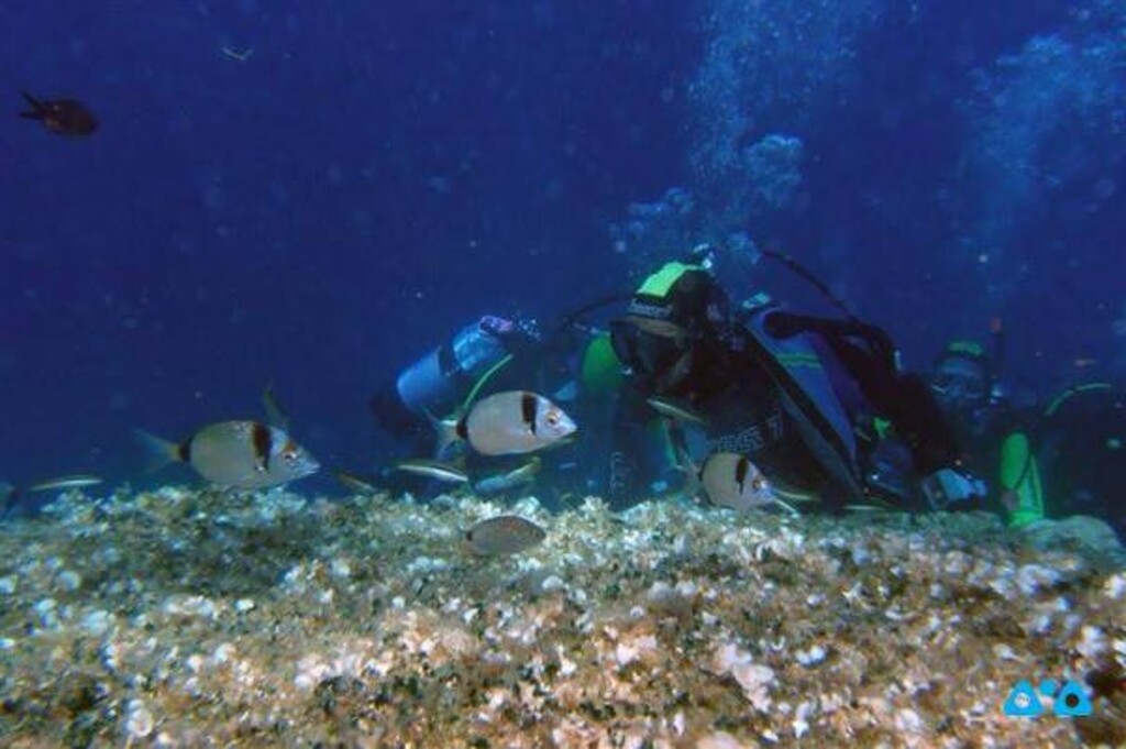 Image 3832222 - 29