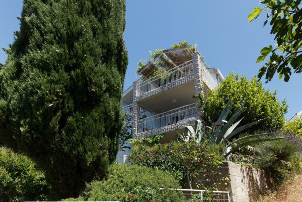 Image 3811742 - 1