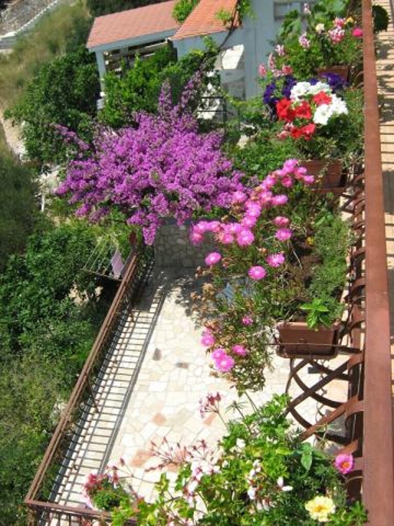 Image 3838750 - 13