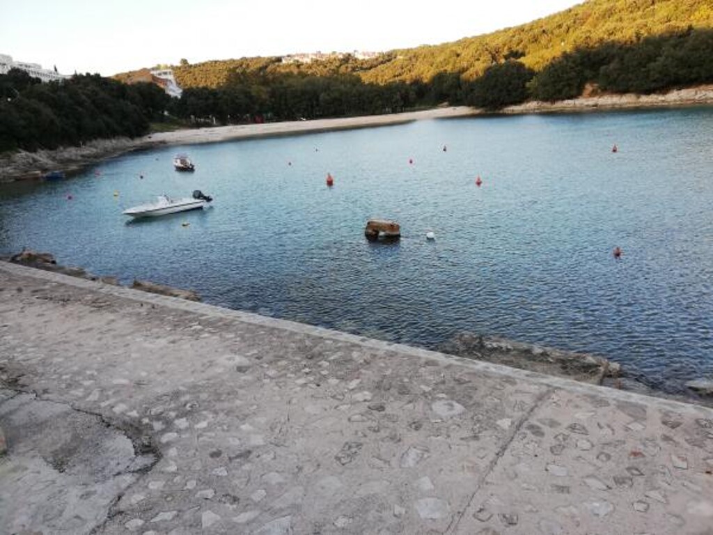 Image 3815212 - 11