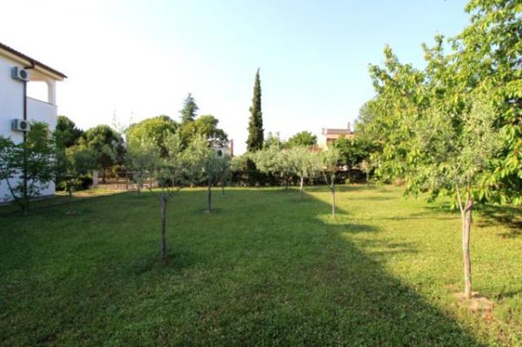 Image 3811601 - 9