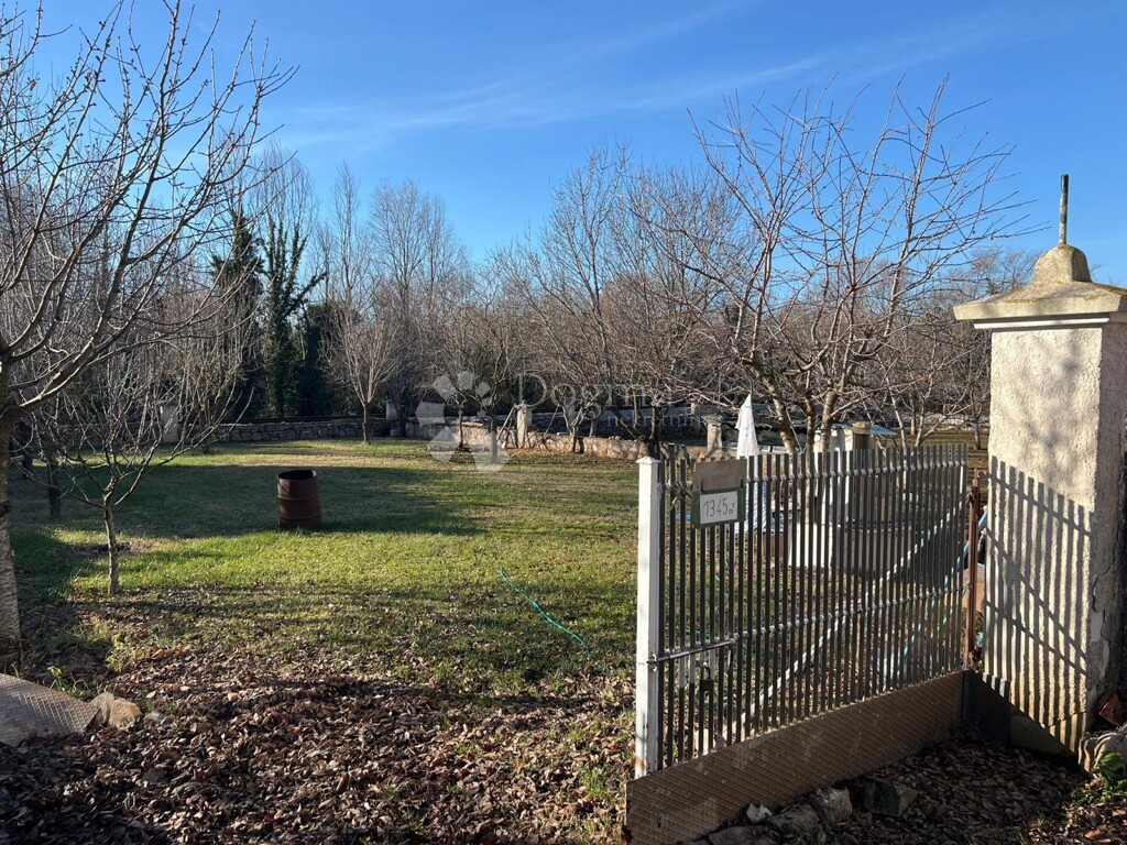 Image 14